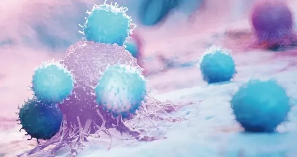 免疫细胞可以减少肺病毒感染和修复伤口