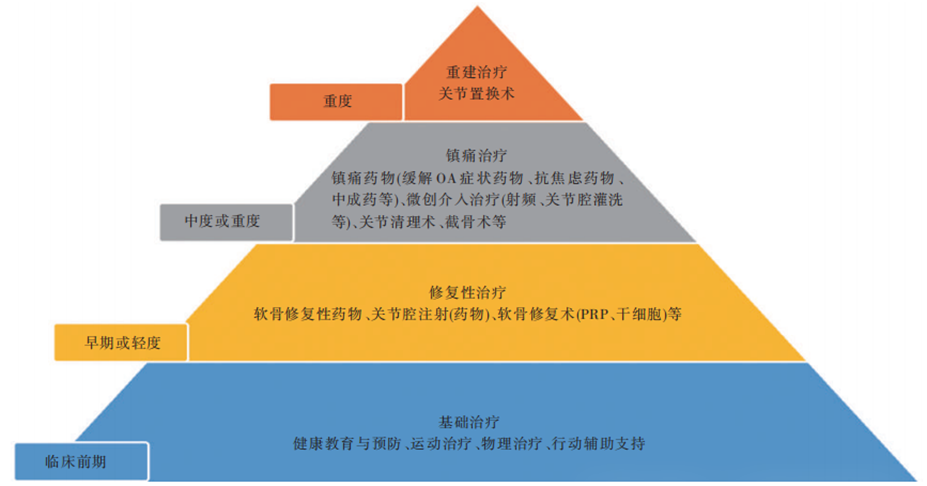 从“延缓磨损”到“促进再生”:干细胞如何干预骨关节炎?郑大干细胞库专家解读 1762134769125342.png
