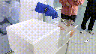 郑州广播电视台走进郑大干细胞库,探访郑州市科普地图特色打卡点