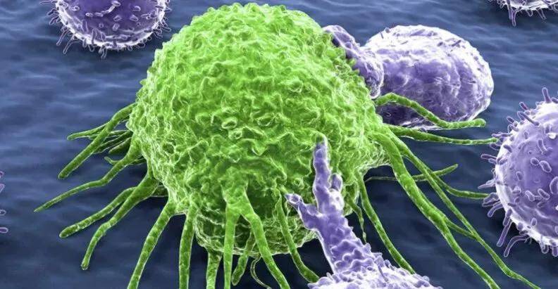 免疫细胞疗法:人群、周期、使用时间,一文统统讲清!