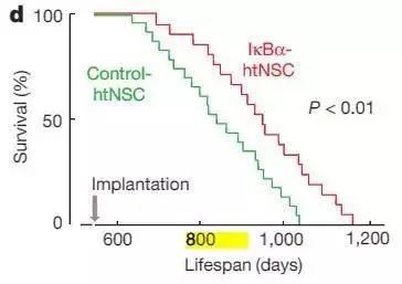 50岁后忘性大、注意力差?干细胞正在拯救“断崖式衰老”的大脑 5.jpg