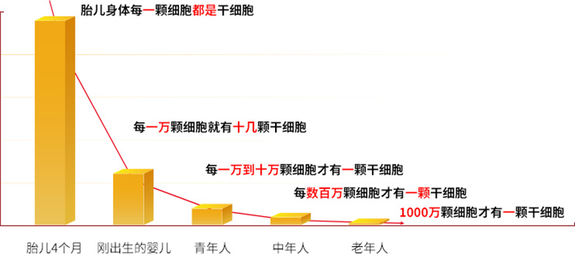 人体有干细胞，为什么还要补充干细胞？