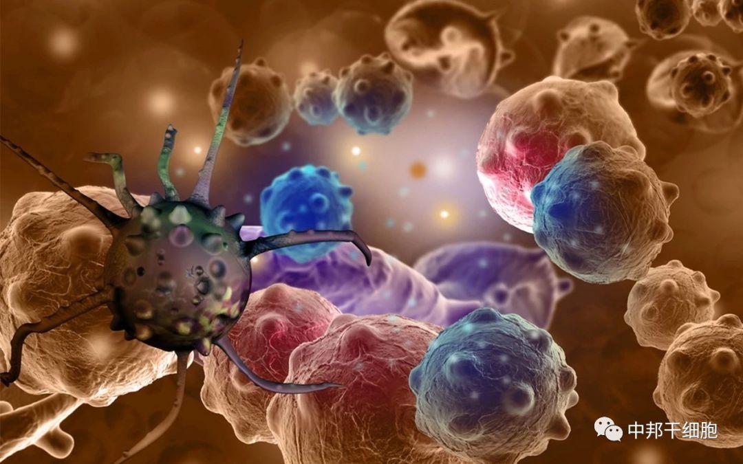 生命科技：免疫细胞储存