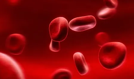 什么是造血干细胞