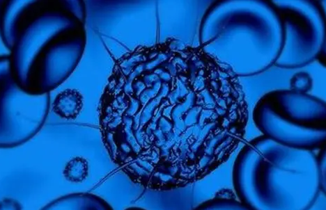 为什么要选择胎盘造血干细胞储存