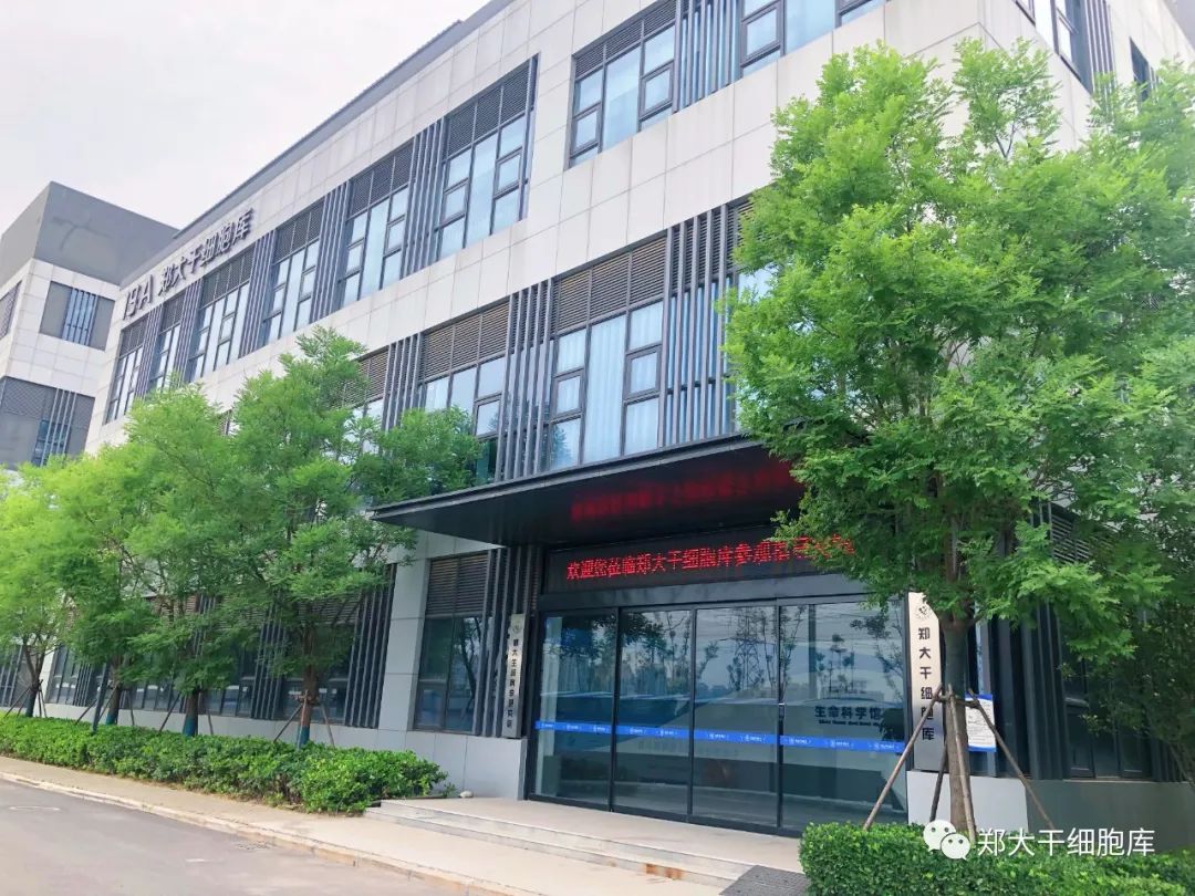 范德布鲁根教授：这将是河南细胞与免疫治疗产业腾飞的起点