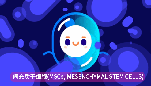 640 (1).png