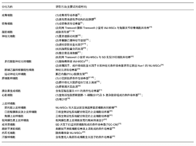 640 (4).png