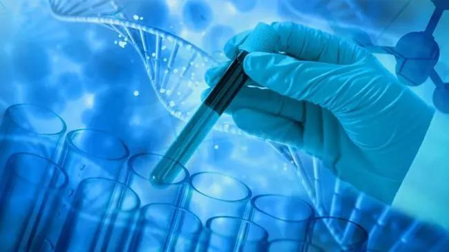 干细胞改善2型糖尿病的12个月随访研究结果