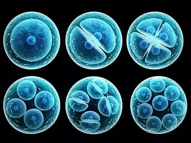 CBA球星郭艾伦宣布接受干细胞治疗，加速康复进程！