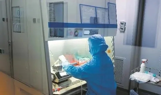  干细胞改善牙周病，这一项目临床研究取得新进展