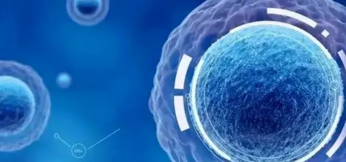 细胞治疗时代将至：糖尿病临床研究频获重大突破