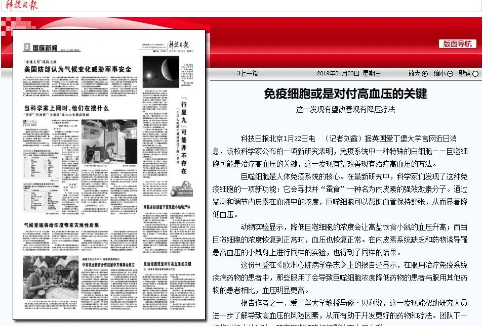 免疫疗法或将为高血压患者带来希望