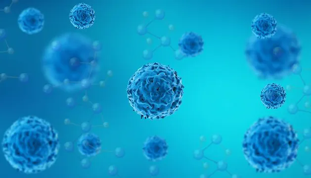  免疫细胞的“记忆”能力——守护我们健康的神秘力量