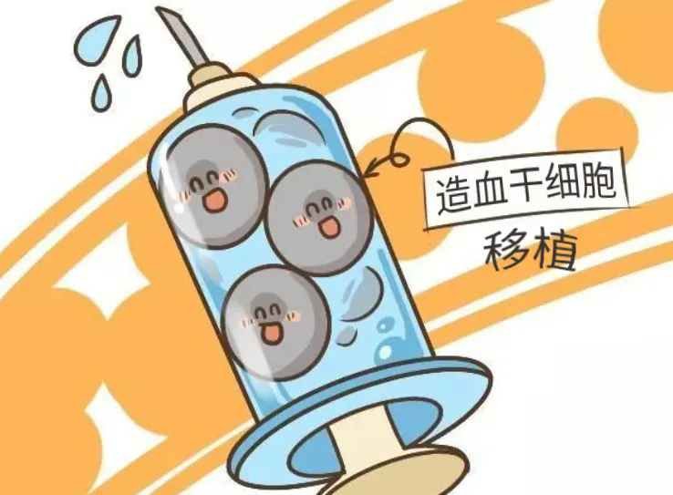  NK细胞有效降低造血干细胞移植后复发，患者4年生存率高达
