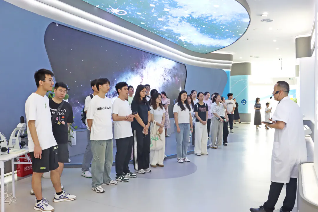 640.webp (7).png