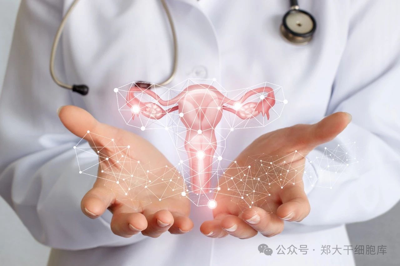 周琪院士：干细胞技术能有效延缓衰老，增强健康