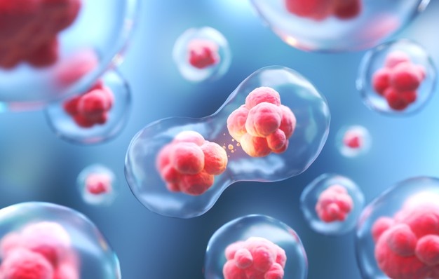 临床数据惊人：干细胞干预半年免疫力增强60%，三年衰老速度减缓70%