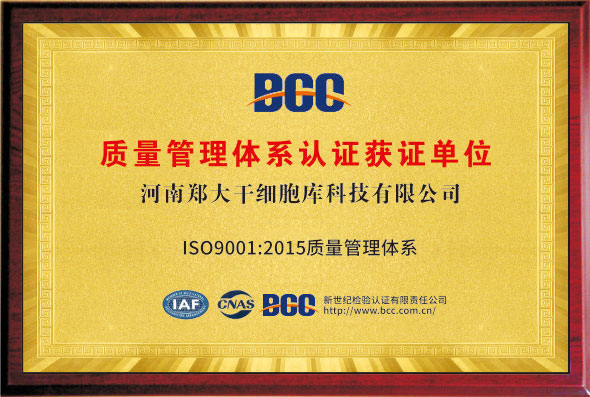 质量管理体系认证