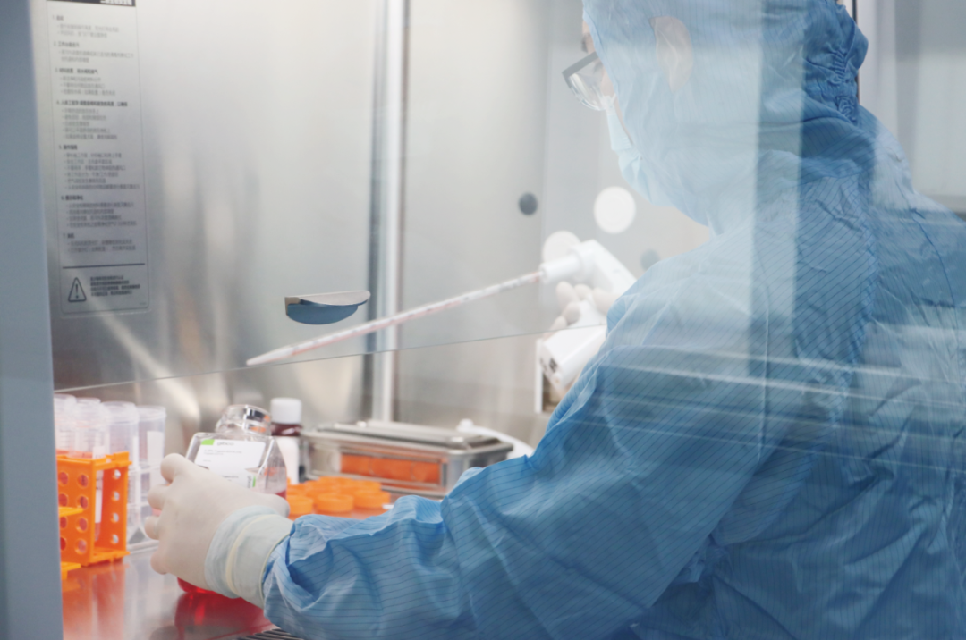 215 款受理！56 款获批临床！2025中国干细胞药物迎来爆发式增长