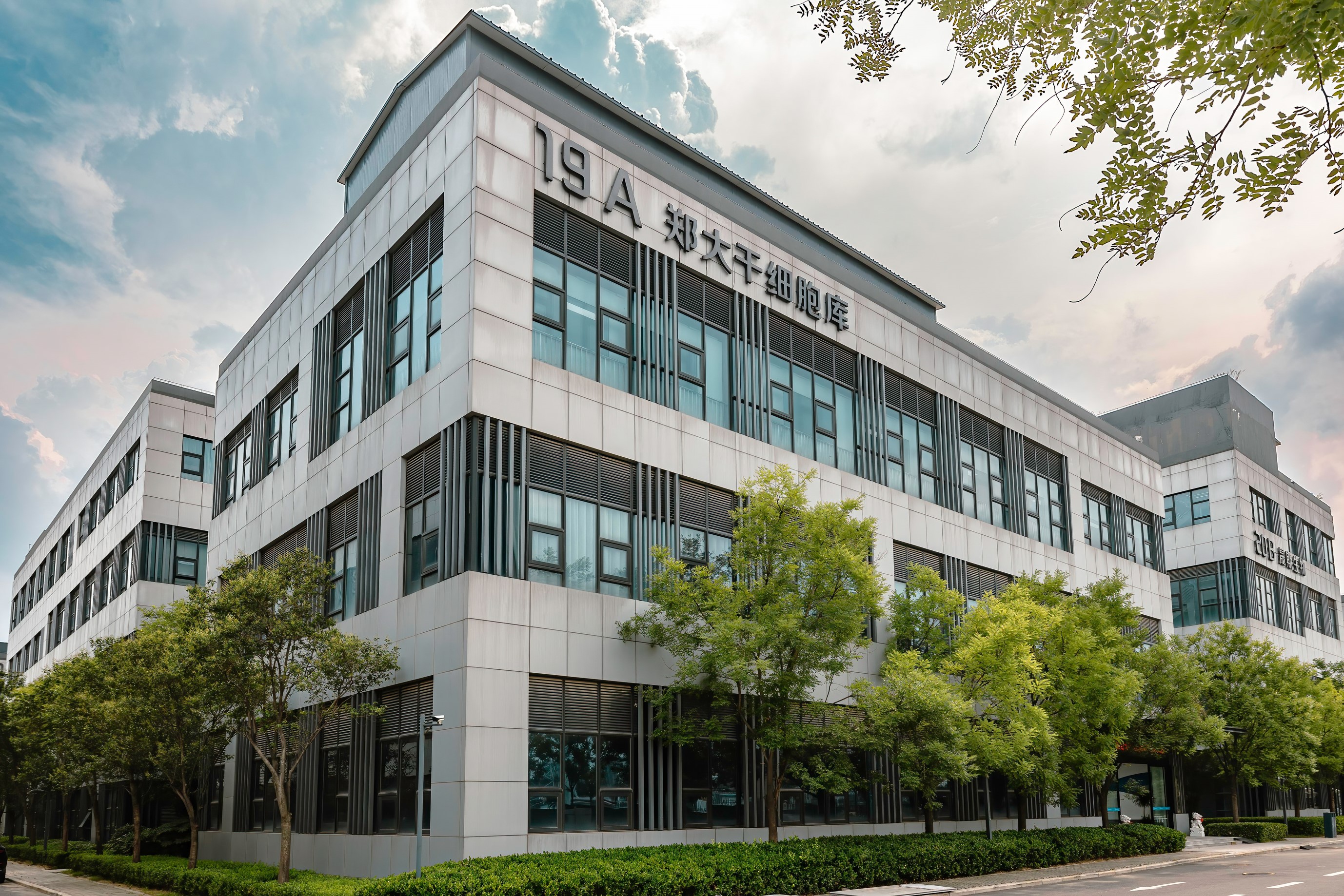 郑大干细胞库：从实验室到生命线，探索政产学研医全链条发展路径