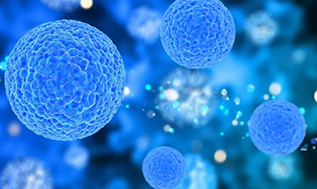 50岁后忘性大、注意力差？干细胞正在拯救