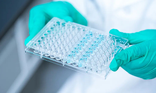 免疫力告别“颠峰期”：一份价值千亿的免疫细胞“自救指南”