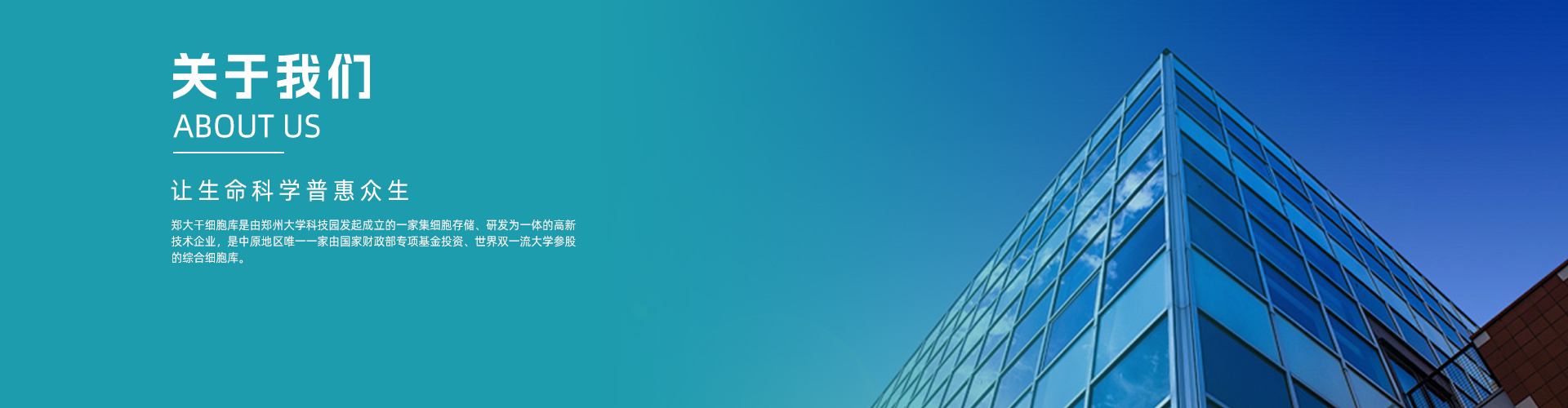 关于我们