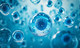 细胞科普 | 90%的人搞混了干细胞和免疫细胞!一篇讲透区别